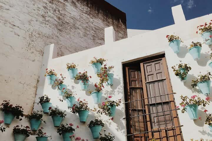 Excursión de un día a Córdoba desde Sevilla con visita guiada en Sevilla - Foto 5