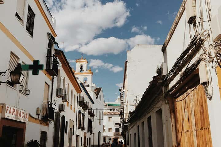 Excursión de un día a Córdoba desde Sevilla con visita guiada en Sevilla - Foto 6