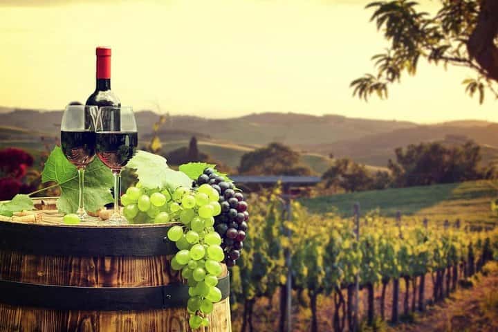 Excursión privada a la bodega Ronda desde Sevilla en Sevilla - Imagen principal