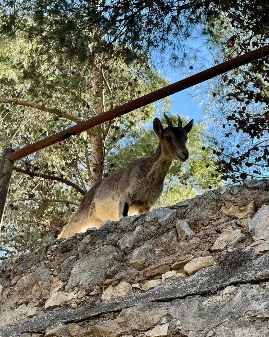 Ardales: tour guiado a pie por el Caminito del Rey y El Gaitanejo en Málaga - Foto 4