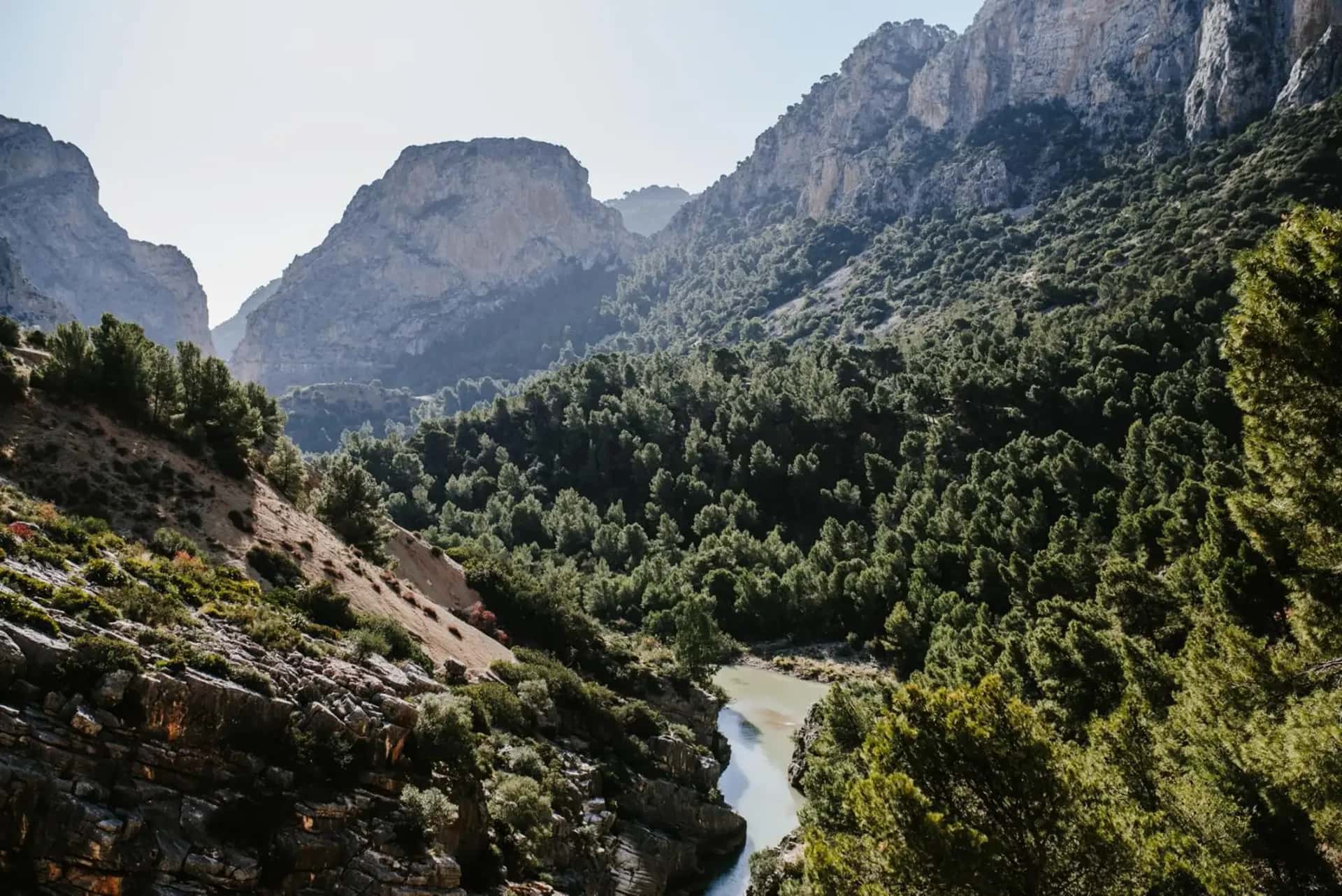 Caminito del Rey: experiencia completa y tour guiado de 2 horas en bici eléctrica en Málaga - Foto 4