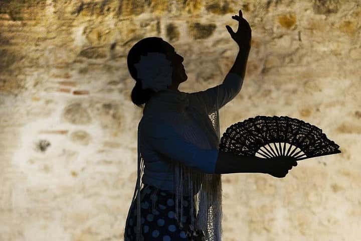 Sevilla flamenca Tour en EBike y Espectáculo de Flamenco en Sevilla - Foto 5