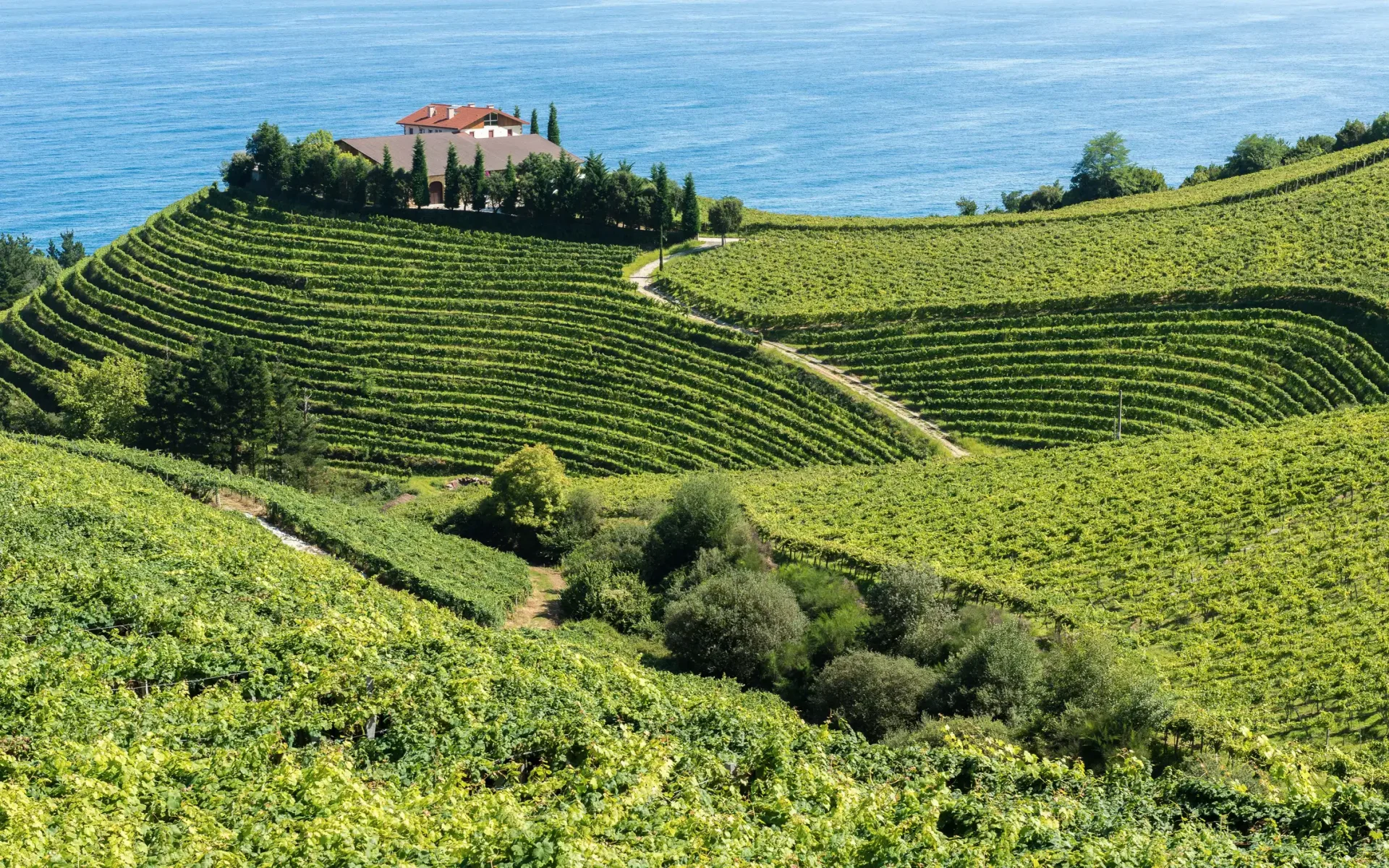 Excursión desde Bilbao a San Sebastián, Hondarribia y Hendaya: la costa más elegante del norte