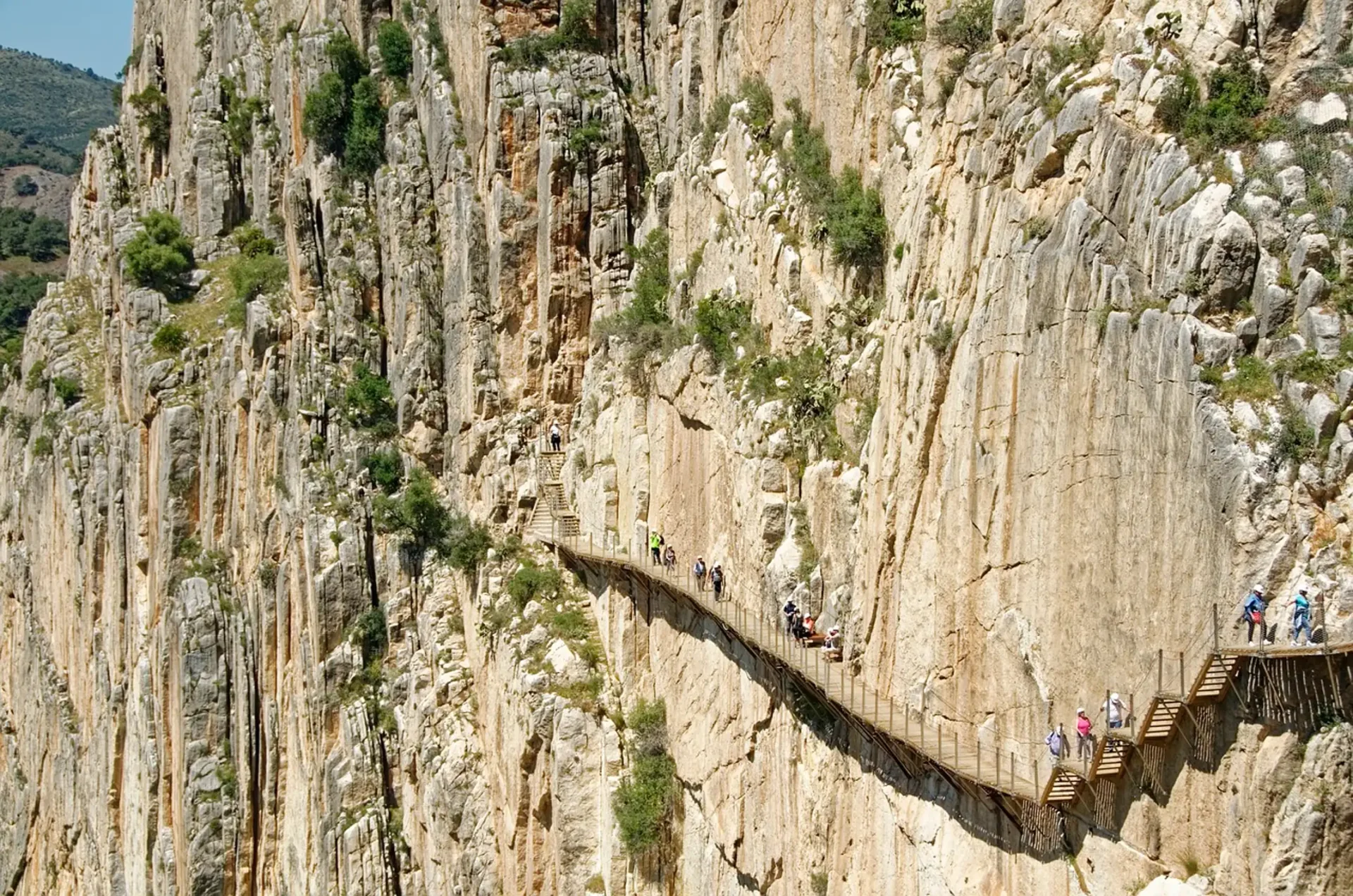 Excursión desde Marbella y Estepona al Caminito del Rey: guía y transporte incluidos