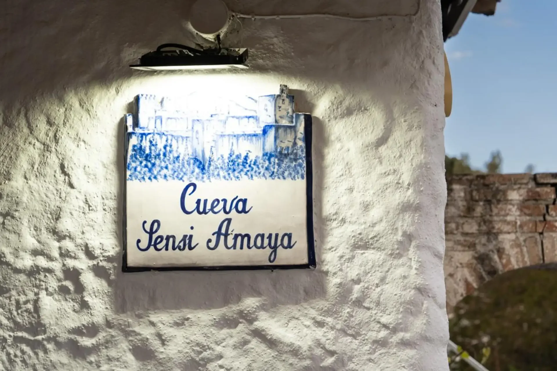 Bailaora de flamenco en la cueva del Sacromonte de Granada durante la zambra gitana